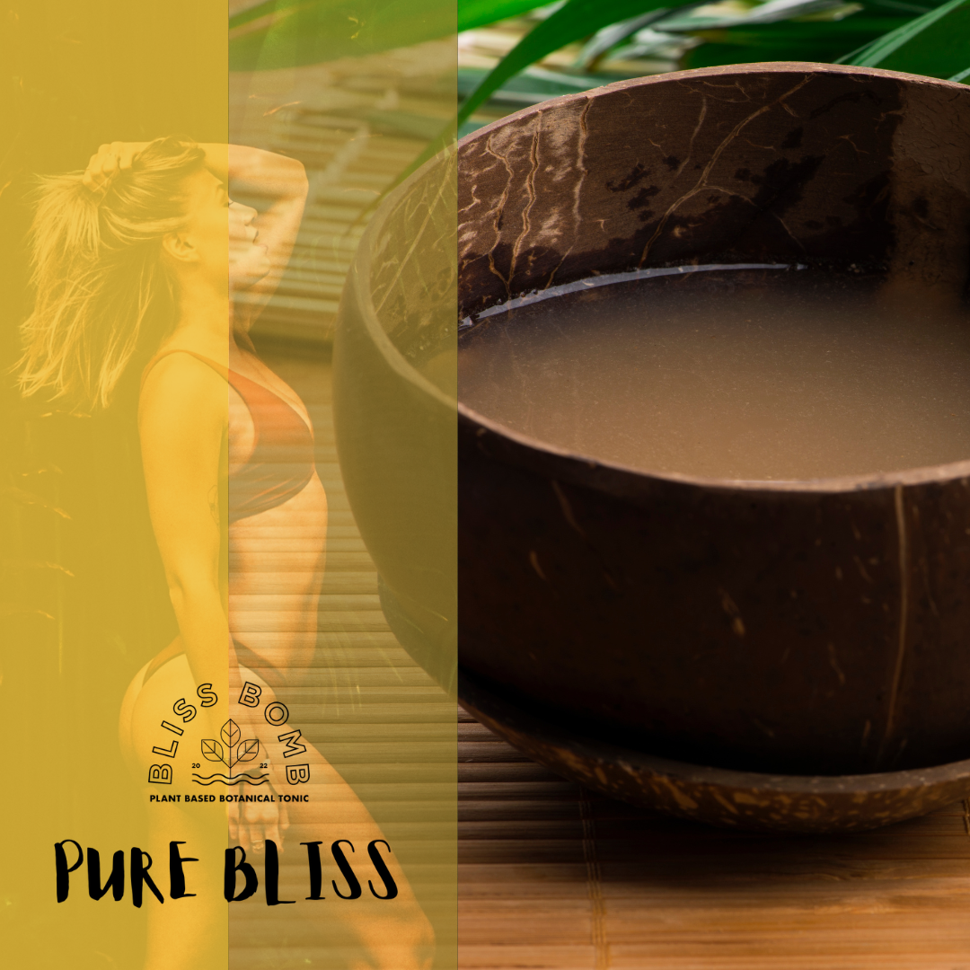 Kava 101 – Benefits You Need To Know